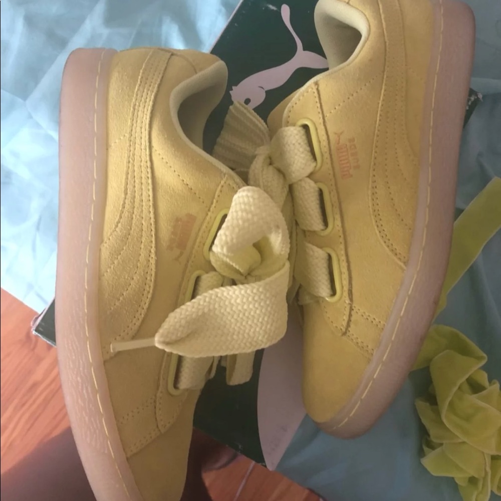 Pumas - Picture 3 of 5